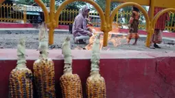 liputan6