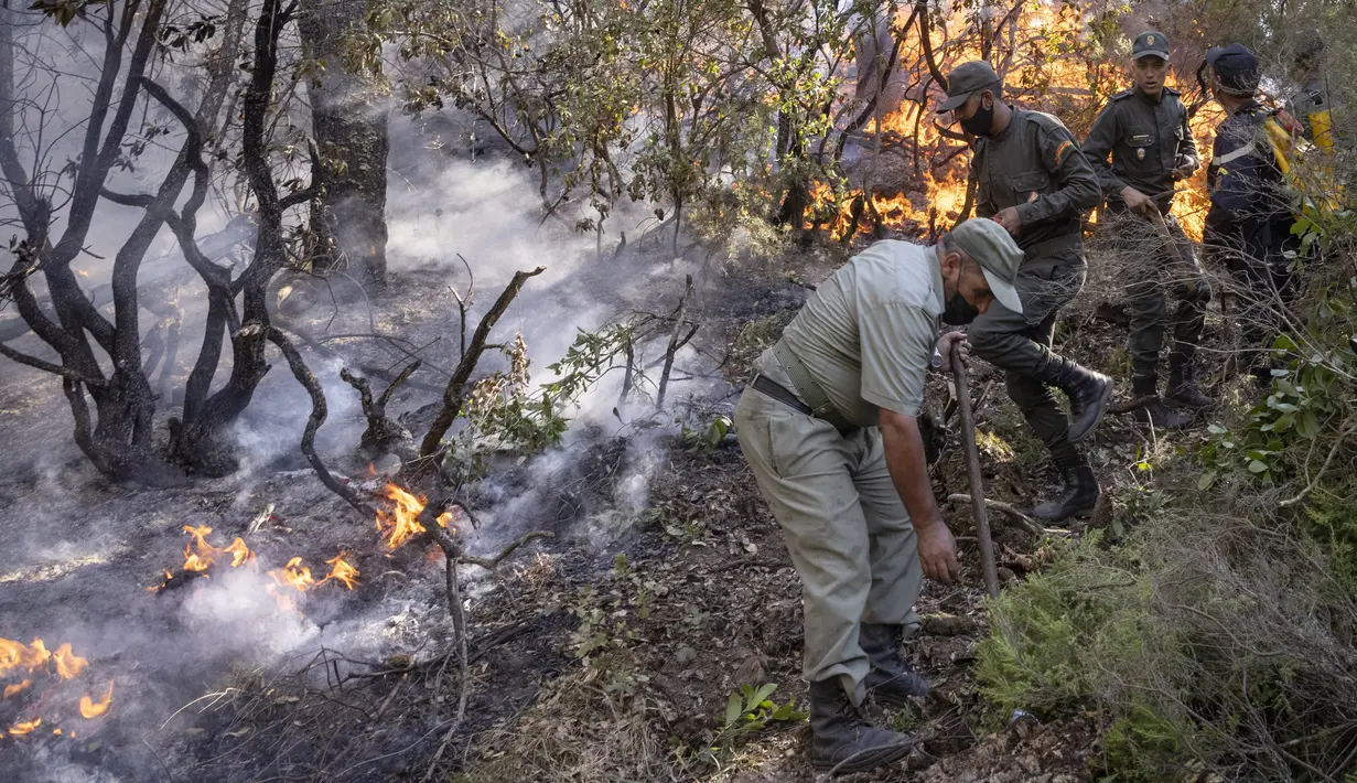 Petugas pemadam kebakaran berjuang melawan kebakaran hutan di wilayah Chefchaouen, Maroko, 17 Agustus 2021. Pesawat pemadam kebakaran digunakan untuk mengatasi kebakaran yang telah menghancurkan sekitar 200 hektare hutan. (FADEL SENNA/AFP)