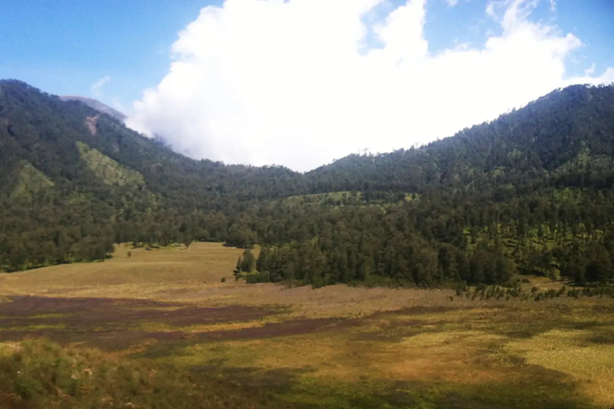 gunung