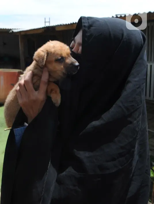 Pecinta hewan Hesti Sutrisno mencium anjing liar peliharaannya di rumah penampungan sementara Green House, Tenjolaya, Bogor, Jawa Barat, Minggu (14/3/2021). Hesti menampung anjing-anjing liar yang telantar dan ditemuinya di jalan. (merdeka.com/Arie Basuki)