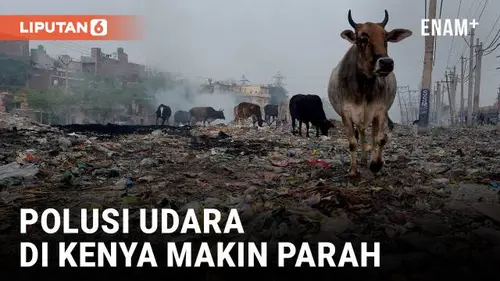 VIDEO: Polusi Udara dari Tempat Pembuangan Sampah dan Lalu Lintas Membahayakan Kesehatan di Kenya