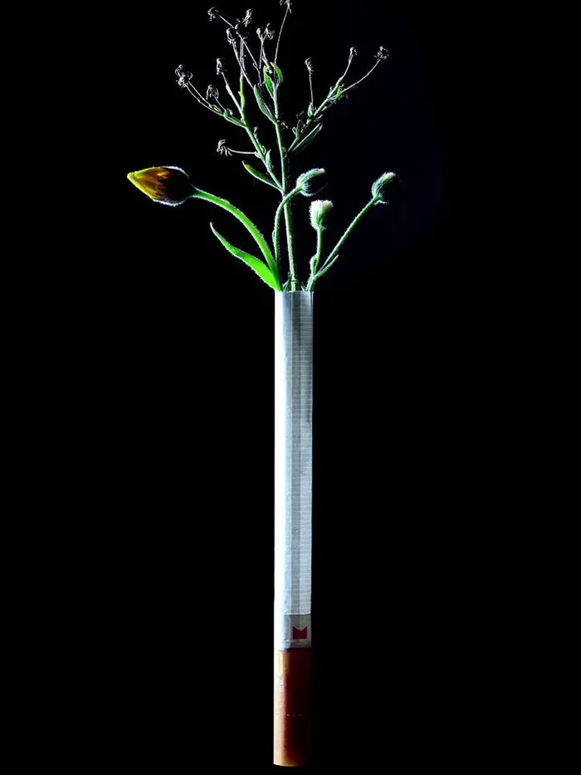 Metafora Visual Rokok