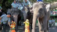 Gajah sarapan tumpeng rayakan ulang tahun Gembiraloka (Liputan6.com / Switzy Sabandar)