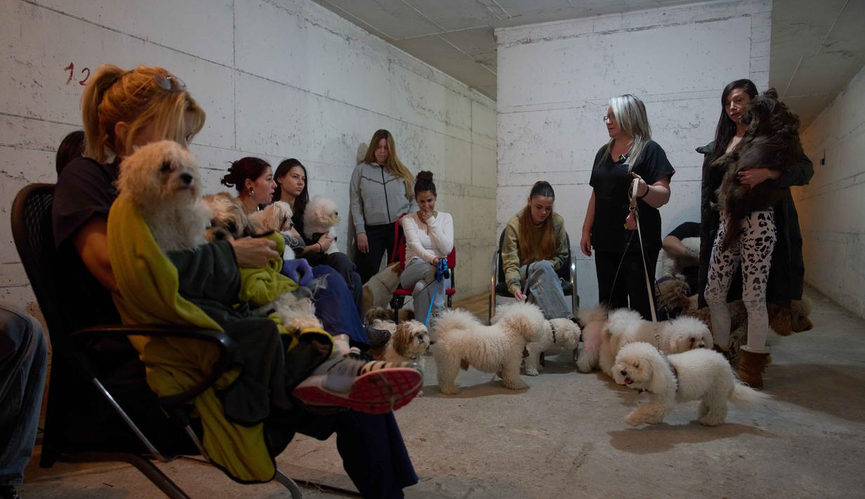 Hal tersebut ditandai dengan serangan rudal besar-besaran dari Iran yang berhasil menembus sistem pertahanan udara Israel. Tampak dalam foto, para pekerja salon anjing berlindung bersama anjing-anjing mereka di tempat perlindungan bom saat sirene serangan udara memperingatkan akan datangnya serangan rudal Iran di Ramat Gan, Israel, Rabu, 25 Maret 2026. (AP Photo/Oded Balilty)
