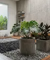 Desain Taman Kering di Dalam Rumah Minimalis (AI Generated)