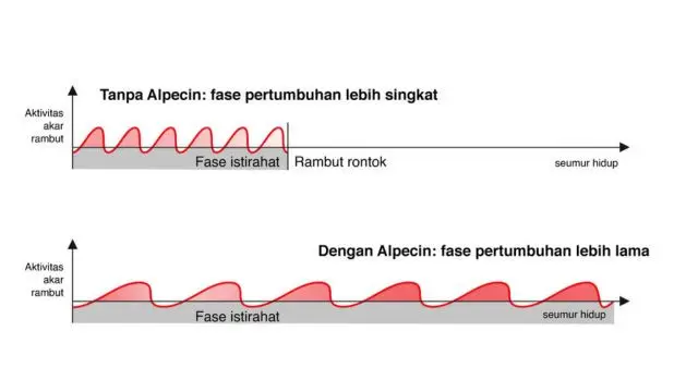 Alpecin.