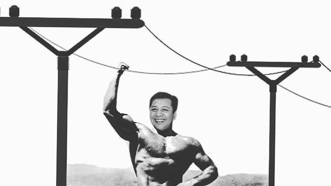 Meme Setya Novanto Tabrak Tiang Listrik yang Kocak Abis 