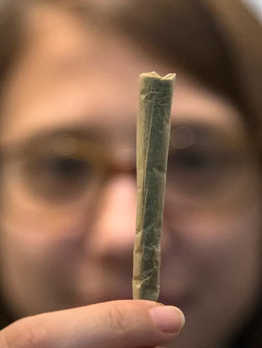 Salah satu jenis ganja yang dijual di apotek ganja di Tel Aviv, Israel (2/3/2016). Apotek ganja ini menjual berbagai jenis ganja medis kepada pengunjung yang memiliki resep dari dokter.. (AFP Photo/Jack Guez)