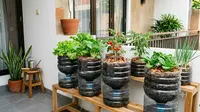 6 Inspirasi Kebun Sayur Mini dari Galon Bekas untuk Teras Rumah, Hemat Tempat dan Mudah Dibuat