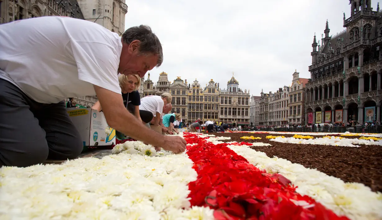 Sejumlah sukarelawan menata Karpet Bunga Brussels di Grand Place, Brussels, Belgia, Kamis (16/8). Karpet Bunga Brussels bertema Amerika Latin. (AP Photo/Virginia Mayo)