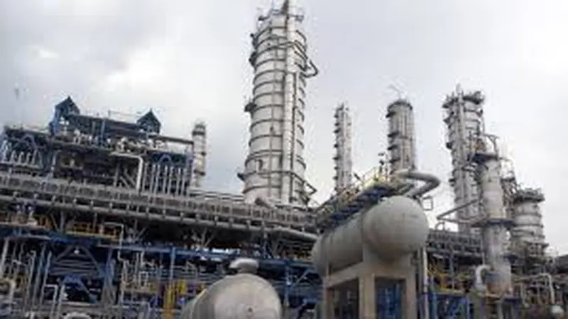 LG Siap Bangun Industri Petromikia di Bintuni jika Ada Gas