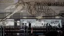 Berbagai spesimen paleontologi, model dinosaurus berskala besar, dan spesimen gajah Lin Wang dipajang di museum. (AFP/Sam Yeh)