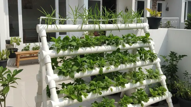 Desain Kebun Sayur Aman dan Bersih di Perumahan. Gemini