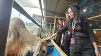Jelang Iduladha, Pemerintah Kota Depok Lakukan Pengawasan Penyelenggaraan Hewan Kurban