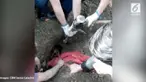 Upaya penyelamatan seekor anjing yang terjebak di pipa saluran pembuangan selama 5 hari. Petugas pemadam kebakaran berhasil mengeluarkannya.