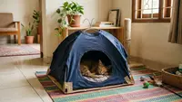 8 Ide Tempat Bermain Kucing dari Barang Bekas yang Bikin Anabul Betah, Hemat dan Kreatif