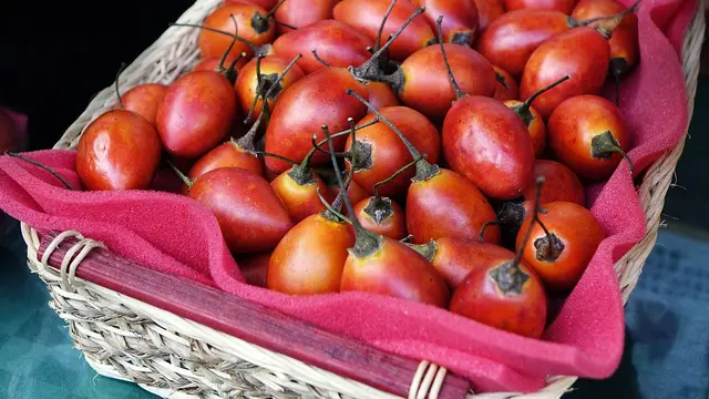 Manfaat Terong Belanda