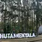 Hutan Menyala Tahura Djuanda. (Dok. tahuradjuanda.official/instagram)