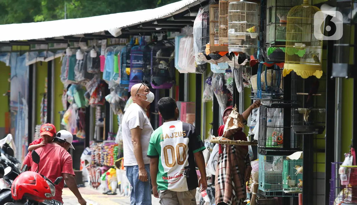 Pedagang melayani pembeli di Pasar Hewan Barito, Kebayoran Baru, Jakarta, Senin (24/10/2022). Sebanyak 85 kios di Pasar Hewan Barito kembali beroperasi setelah rampung direnovasi selama lima bulan untuk memberikan kenyamanan bagi pedagang dan pembeli. (Liputan6.com/Herman Zakharia)