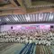 Pengukuhan Kontingen Asian Games 2026, Menpora Tantang Atlet Tingkatkan Prestasi