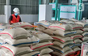 Bulog Siap Salurkan Bantuan Pangan Beras Juli-September 2026