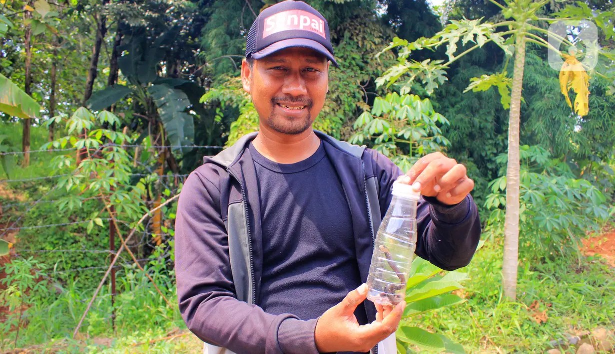 Petugas keamanan Perumahan Citayam Village, Anwar Irawan memperlihatkan anak ular kobra yang  ditangkap warga saat kerja bakti di Kab. Bogor, Sabtu (14/12/2019). Kerja bakti untuk membersihkan lingkungan sekaligus melakukan penyisiran pencarian induk ular kobra. (merdeka.com/Magang/Muhammad Fayyadh)