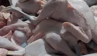 Ayam Kampung Lebih Sehat dari Broiler? Ahli Ungkap Beda Kandungan Gizinya