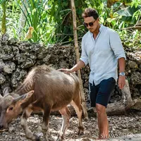 (Instagram/hamishdw)