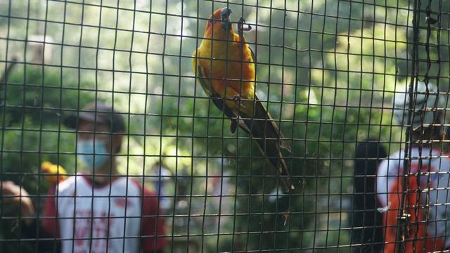 Kebun Binatang Bandung