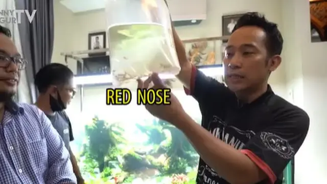 Pecinta Hewan, Ini 6 Potret Denny Cagur Bareng Hewan Peliharaannya yang Tak Biasa