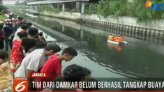 Kemunculan buaya ini membuat warga di sekitar Kali Grogol gempar.