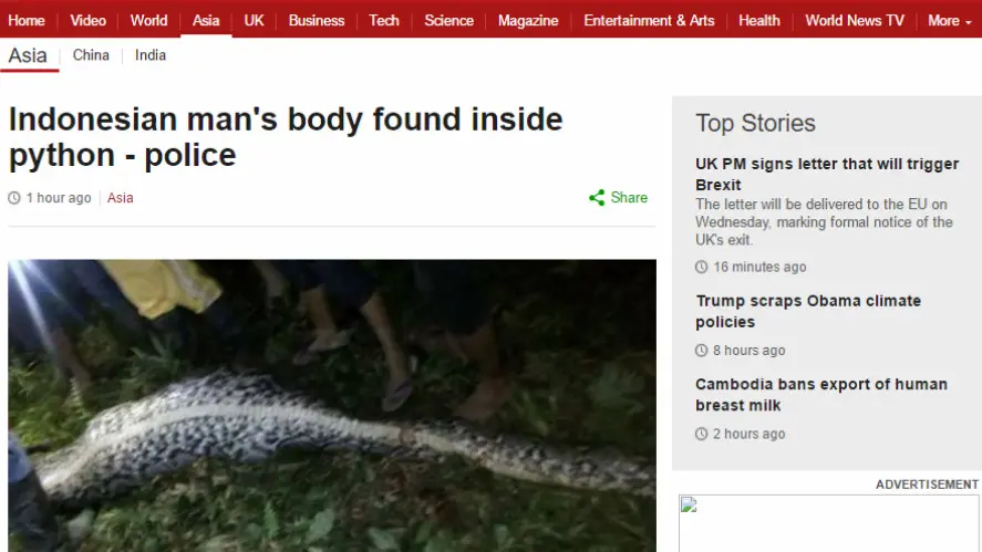 Kabar jasad seorang petani yang ditemukan di dalam perut ular piton sepanjang 7 meter menjadi sorotan sejumlah media asing. (BBC)