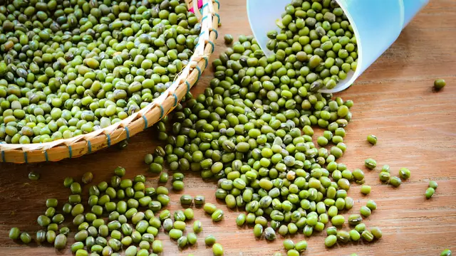 Kacang hijau