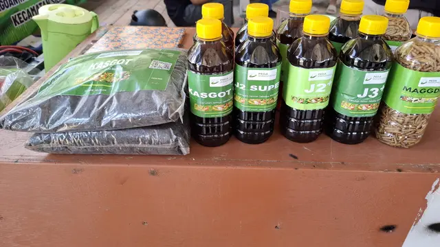 Hasil produk dari pusat budidaya maggot di Pega Indonesia, Banyuwangi, Jawa Timur. (Foto: Liputan6.com/Agustina Melani)