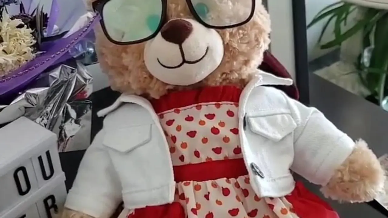 Boneka beruang yang hilang/dok. alohaaamara Instagram
