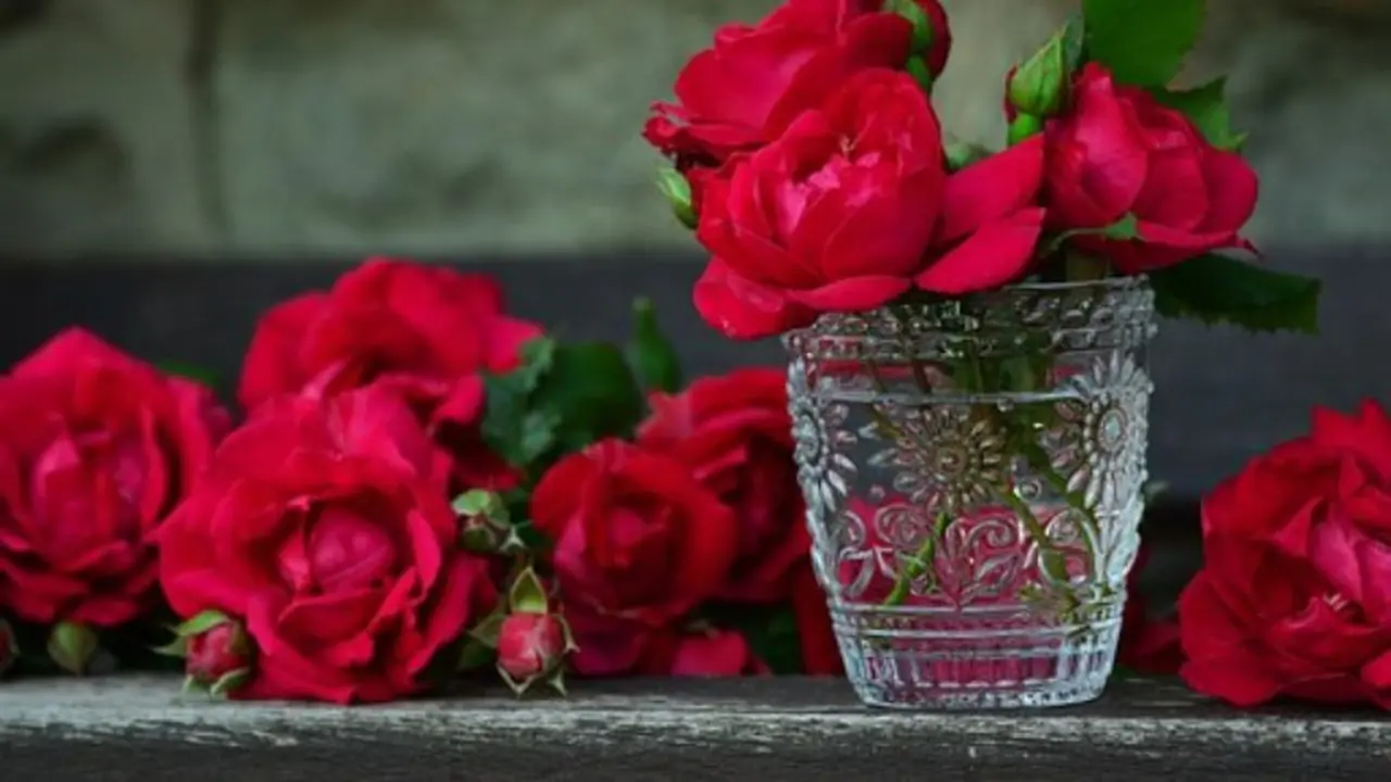 Valentine, Arab Saudi Haramkan Bunga Mawar Merah