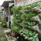 Cara Membuat Rak Sayur Gantung dari Karung Beras Bekas, Modal Nol Rupiah