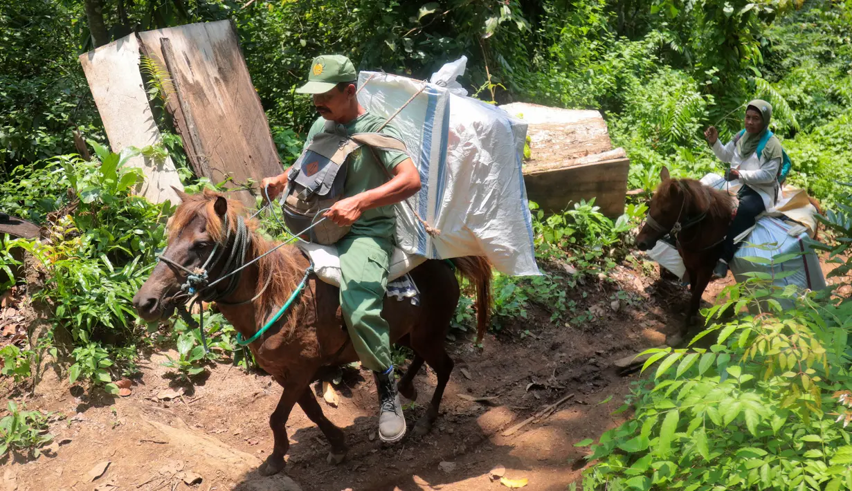Para petugas pemilu menggunakan kuda untuk membawa kotak suara dan perlengkapan pemilu lainnya ke tempat pemungutan suara di desa-desa terpencil di Andongrejo, Jawa Timur, Selasa, 13 Februari 2024. (AP Photo/Trisnadi)