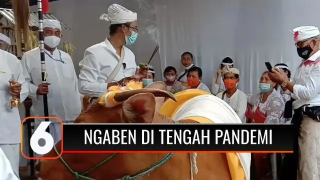 VIDEO: Intip Yuk! Begini Prosesi Upacara Agama Mamukur Massal Atau Ngaben di Bali yang Digelar di Tengah Pandemi