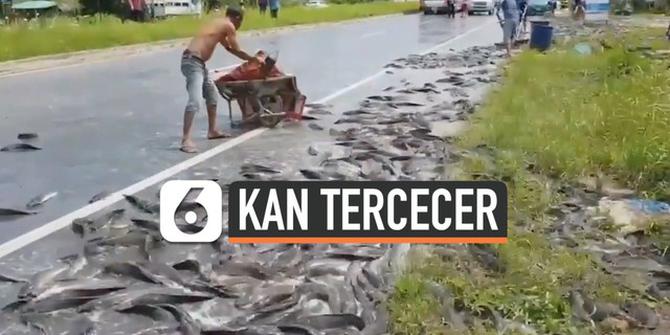 VIDEO: Dua Ton Ikan Lele Tercecer di Jalanan Thailand