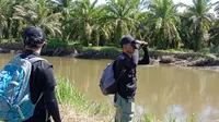 Tim BKSDA Sumbar melakukan identifikasi lapangan terkait konflik buaya dan manusia di Kabupaten Agam. (Liputan6.com/ Dok BKSDA Sumbar)