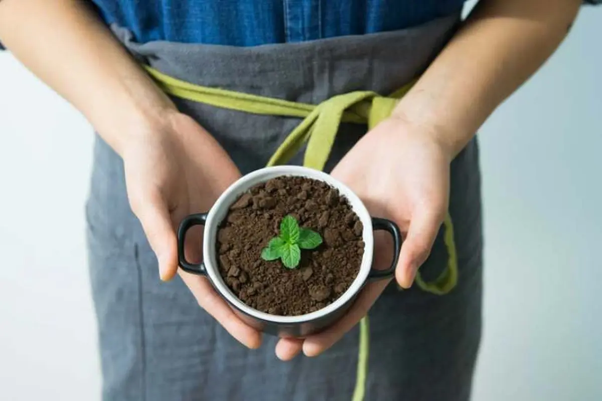 Ini Cara Membuat Body Scrub dari Tanah Liat