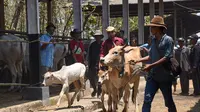 Kabupaten Purwakarta memiliki program Inseminasi Buatan (IB) untuk meningkatkan populasi sapi.