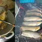 6 Momen Absurd Masak Arwana, Pencinta Ikan Hias Menangis Darah (IG/recehan.ku)