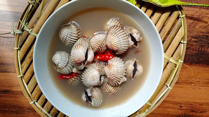 sup kerang dara