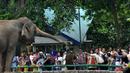 Sejumlah warga antusias melihat satwa gajah yang berada di Taman Margasatwa Ragunan (TMR), Jakarta, Kamis (25/12/2014). (Liputan6.com/Miftahul Hayat)