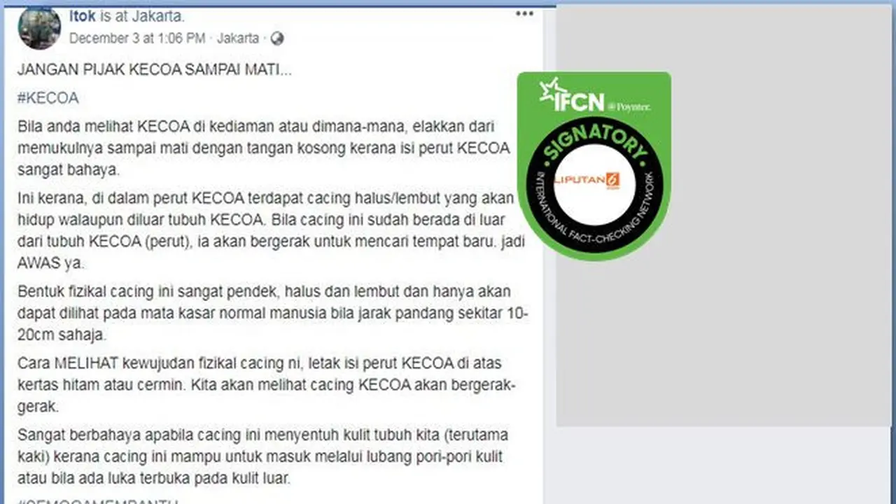 [Cek Fakta] Injak Kecoa Sampai Mati, Bisa Buat Cacing Dalam Tubuhnya Keluar dan Hidup di Badan Manusia, Faktanya?