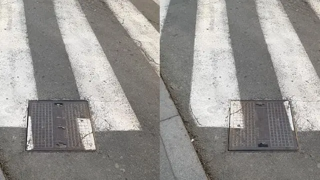 Zebra cross