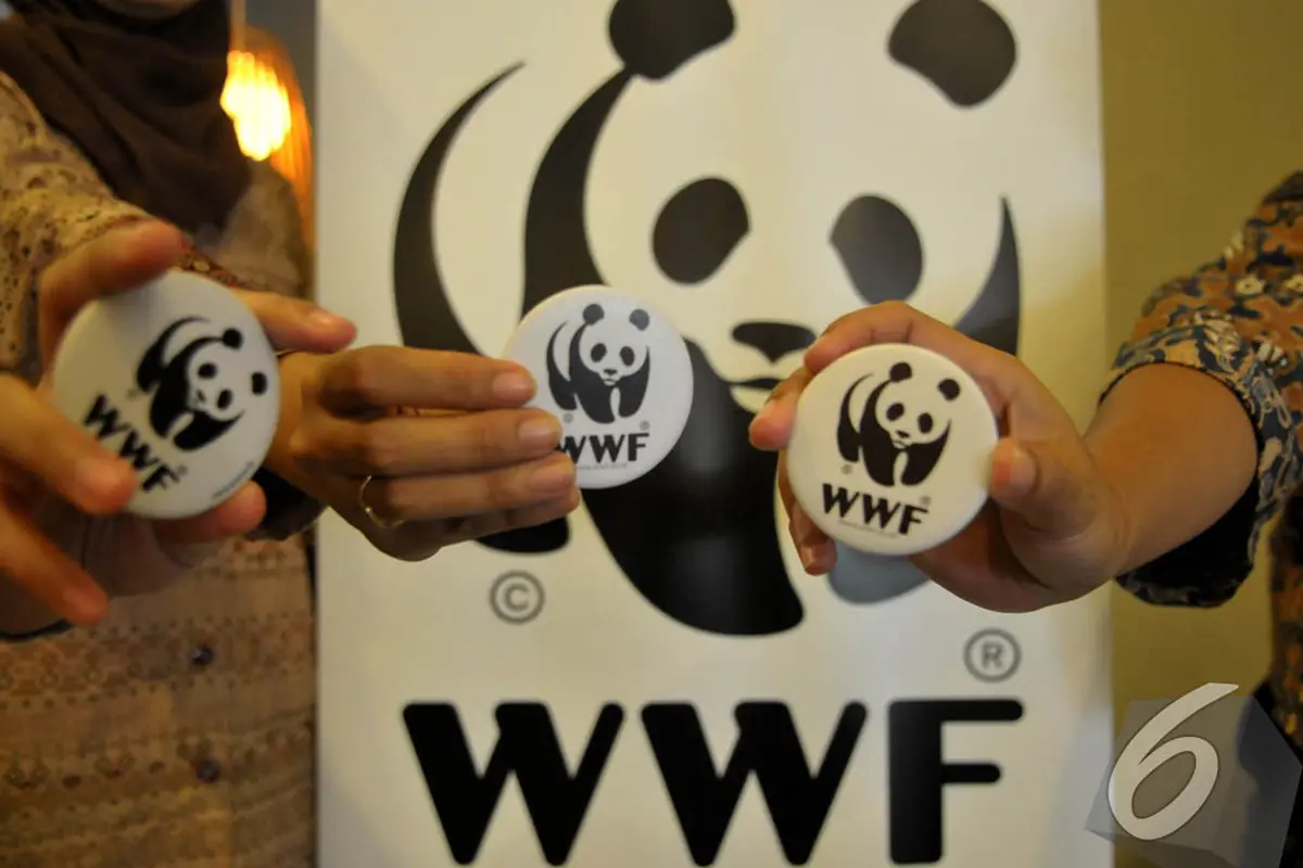 Cara Pantau Hiu Paus Versi WWF Indonesia