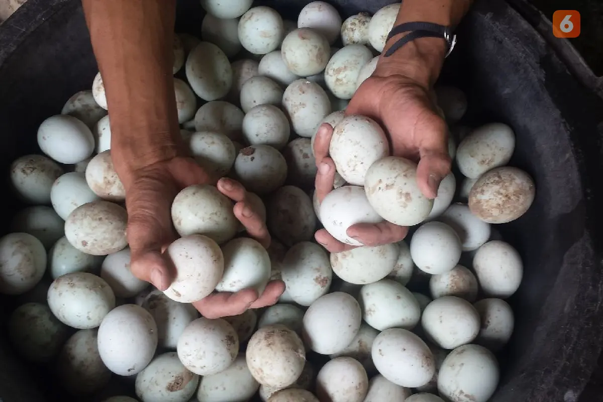 Telur Asin Brebes